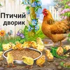 ptichiydvorik