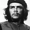 safarafed2