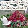 shahnazakhtar48