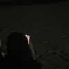 ussynss