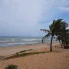 ricardofg52