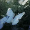 shurio_o