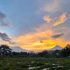 senjaraya_0523