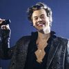 harrystyleselina