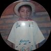 gato1m1