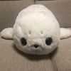 mont_mont18