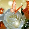 florezzitta6