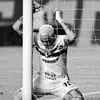spfc.wesley
