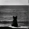 _yieexih_120