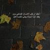 jameljhqdyw