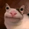 jambanhesmes00