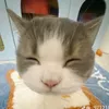 deptraihuobgnoi