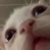 hungh___g