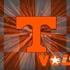 govols529