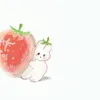 pemsanseo