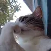 khrio05