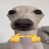 bongg026