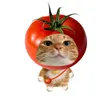 meocute0818
