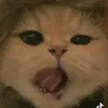 ellzangelia.15