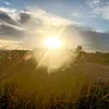 arb_1094