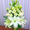 ma.phyu210