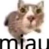 cherimiau