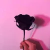 number_onegirlz