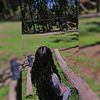 zulma_s18