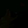 rokaya_soudy