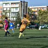 michalhoc_