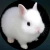 he4rtzmanu