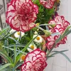 elena_6484