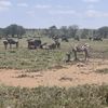 africa_ismyhome