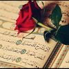💕IslamicQueen💕