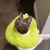 king_shadowmoon