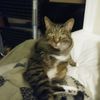 userdontfukwithcats