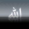 hsnov.taleh