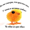 elderly_matebal