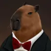 capivara_.sola