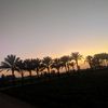 ramialhoutmohammed