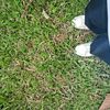 dariel_289