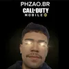 phzao.br