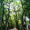 juanapalermo_1840