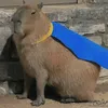 leenpool