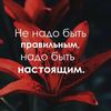 nedostupnaya88