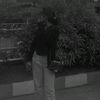 frelldy7