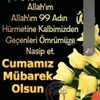 papatya_.076