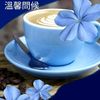 lananh2156044619296