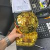 ronaldojsha