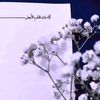 loladollar_